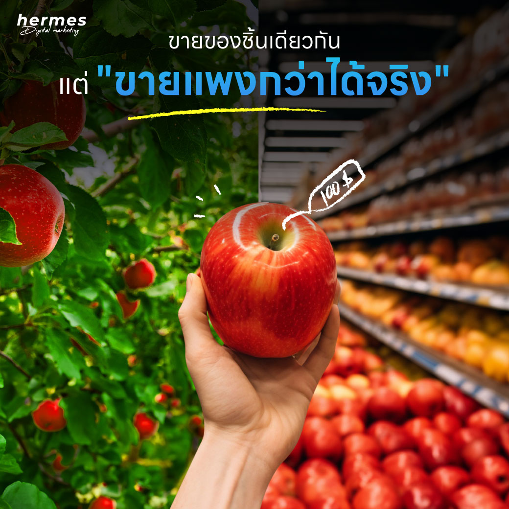 การตลาดออนไลน์ “ขายของชิ้นเดียวกัน แต่ ขายแพงกว่าได้จริง”